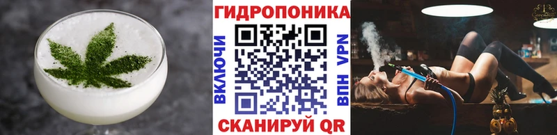 Canna-Cookies конопля Кукмор
