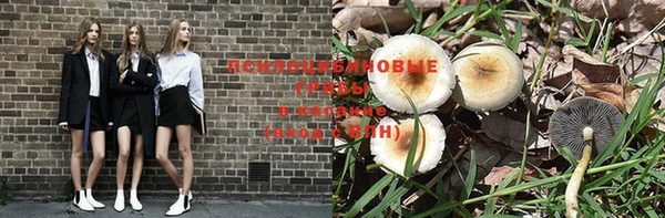 МДПВ Алексин